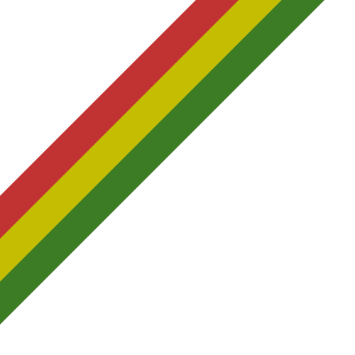 bandera bolivia